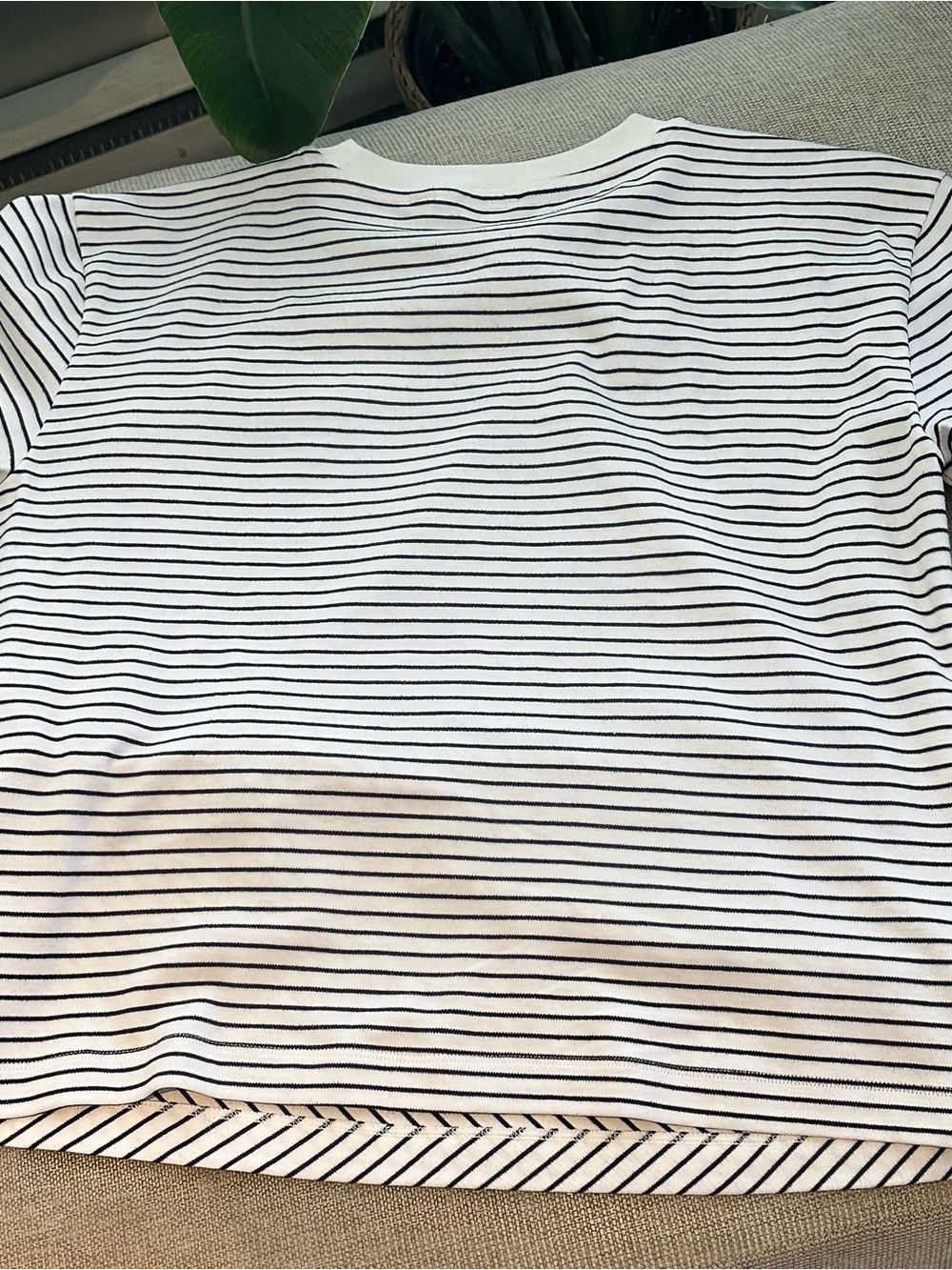 🌟LAST PRICE🌟Aritzia Babaton Interlock Cotton Assent T-Shirt - Picture 4 of 6